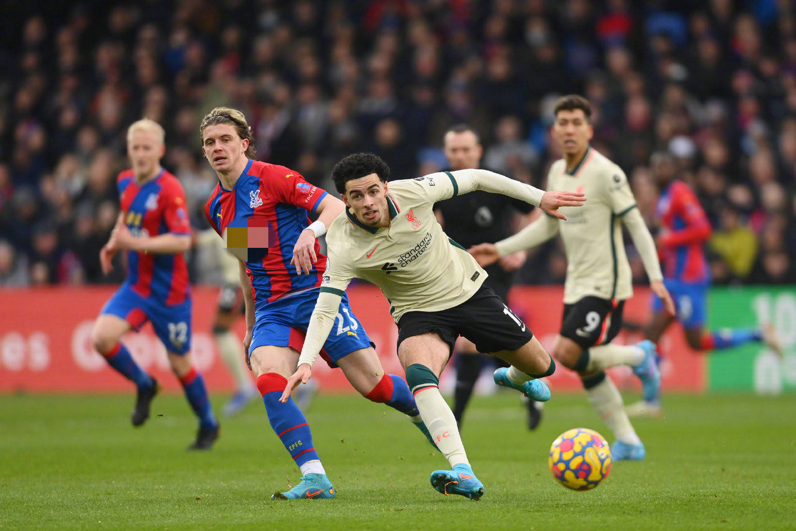 显得更加雅 显得更加雅